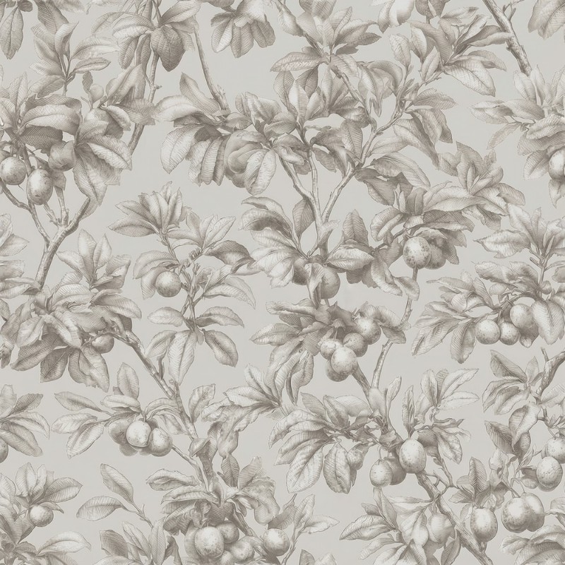 Afbeeldingen van Kleurcombinatie Esaias Beige - 1105101-01 - 09096-01